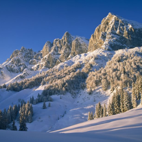 Winterwandern-Einkehr-Huette-Wilder-Kaiser-Foto-Roland-Defrancesco-97.jpg_Glücksmomente (2).jpg